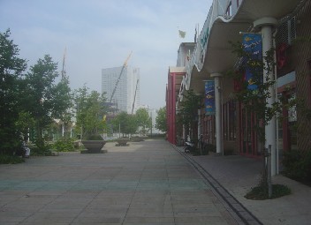 shibuya