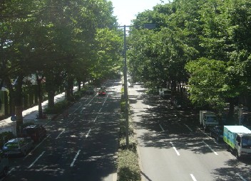 jinguu