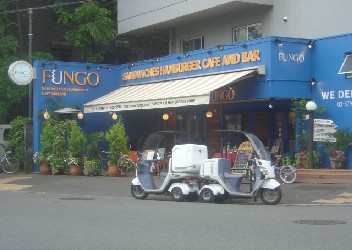 FUNGO