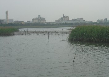 tama-river
