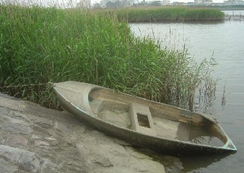 tama-river